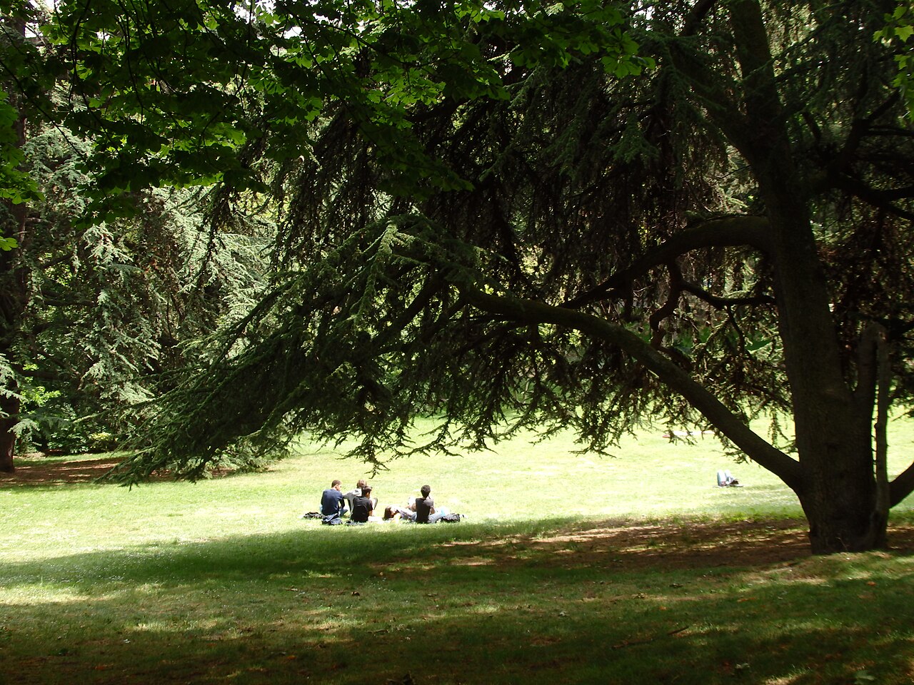Park Montsouris: ogród, jezioro, godziny otwarcia i dojazd