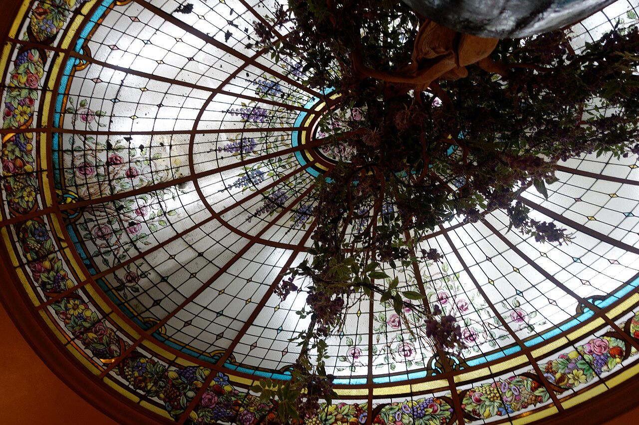 Historic Brasseries in Paris: Which to Choose in 2026, Decor, Dishes and Budget