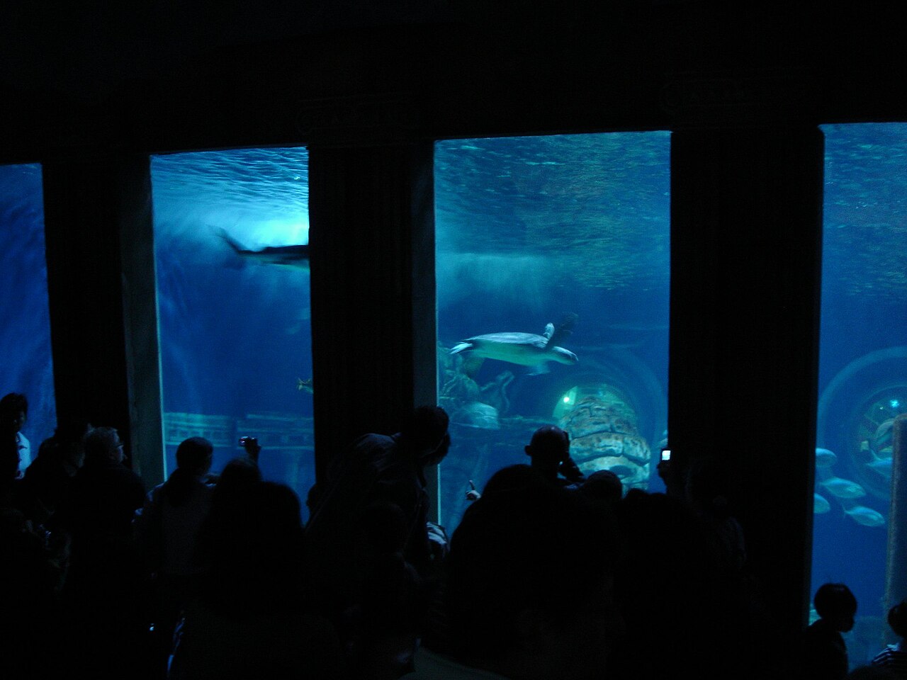 SEA LIFE Paris Val d'Europe: Tickets, Öffnungszeiten, Tiere und Anfahrt mit der RER
