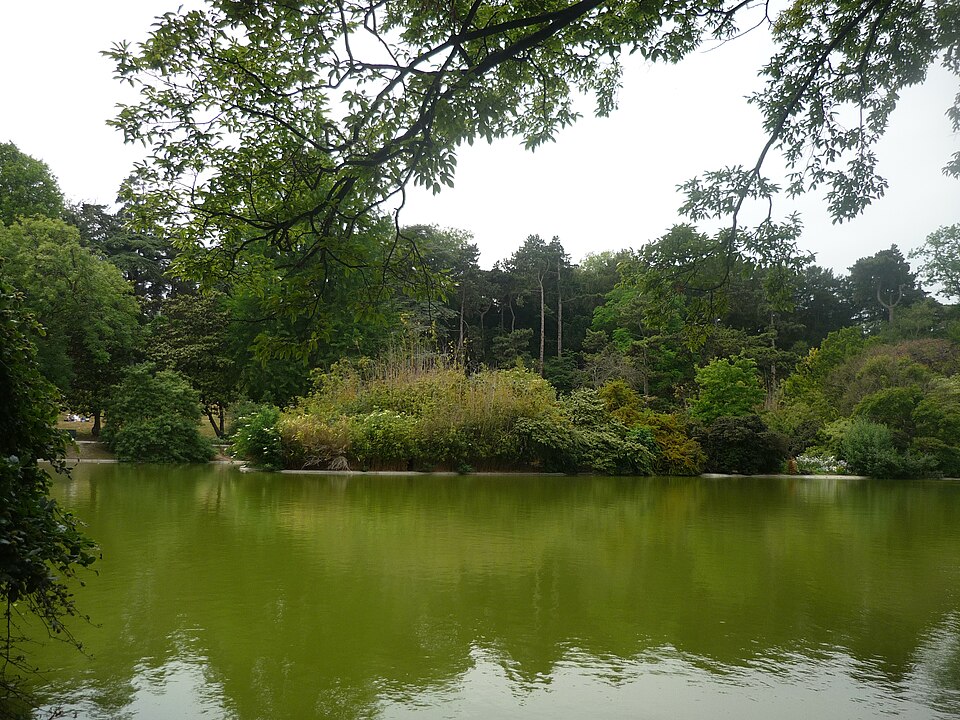 Un lago refugio para las aves