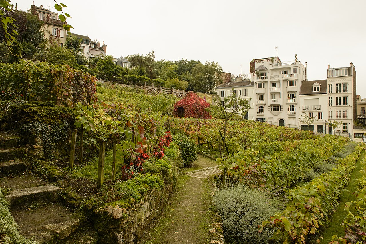 Winnica Clos Montmartre