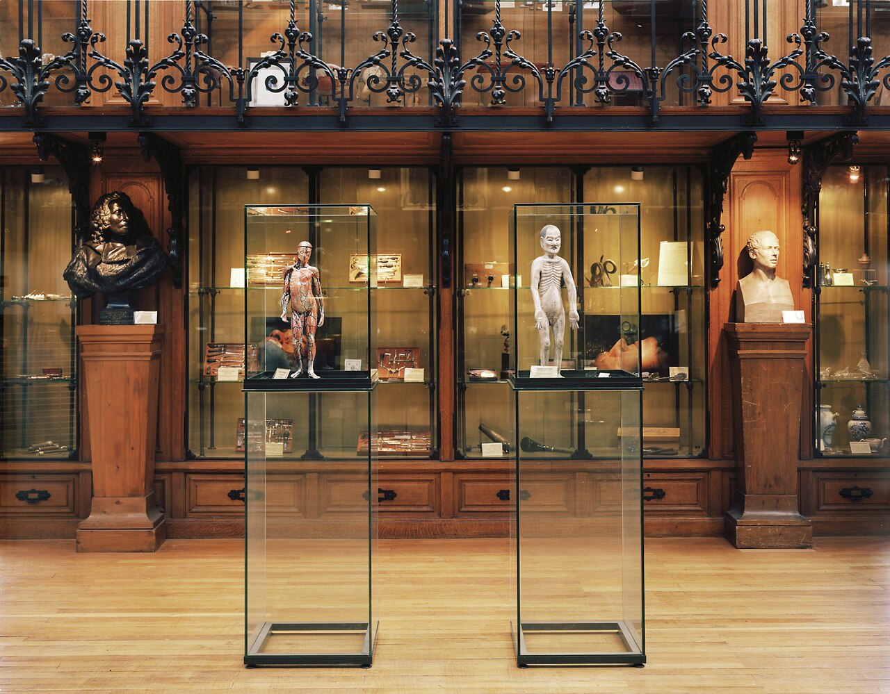 Musée d’Histoire de la médecine