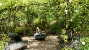 The Quai Branly garden