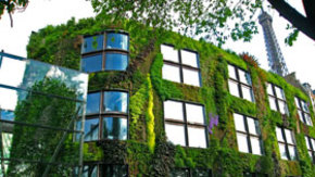 The Living Wall of the Quai Branly
