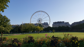 The Ferris wheel