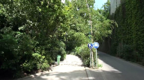 El final del recorrido, cerca del bosque de Vincennes
