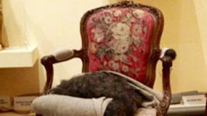 The Mobilier National