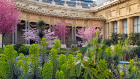 El jardín del Petit Palais