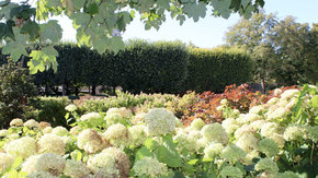 Le jardin du musée Rodin