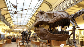 National Museum of Natural History
