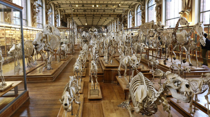 Museo Nacional de Historia Natural