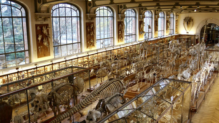 Museo Nacional de Historia Natural