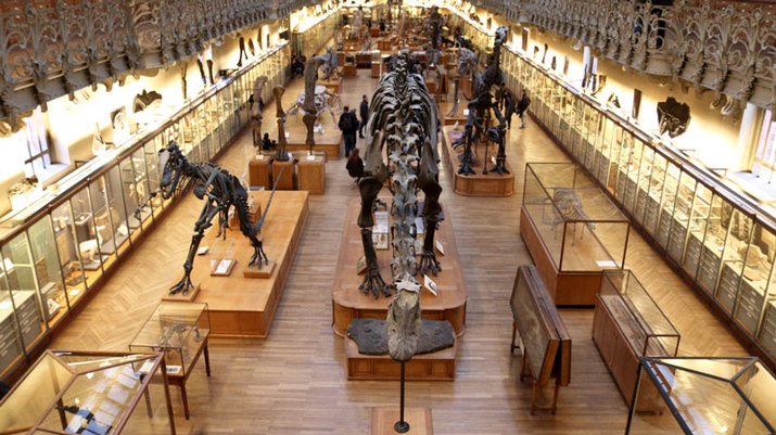 Museo Nacional de Historia Natural