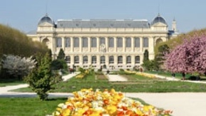 El Jardin des Plantes