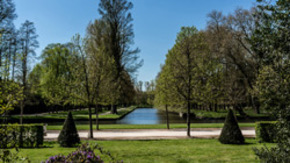 The Estate